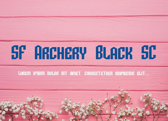 SF Archery Black SC example